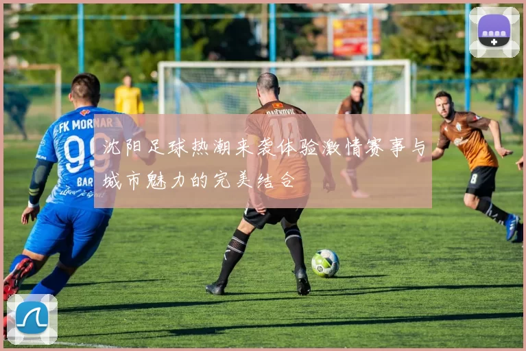 沈阳足球热潮来袭体验激情赛事与城市魅力的完美结合