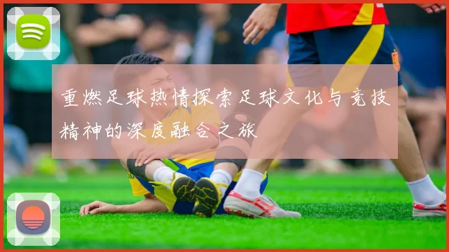 重燃足球热情探索足球文化与竞技精神的深度融合之旅