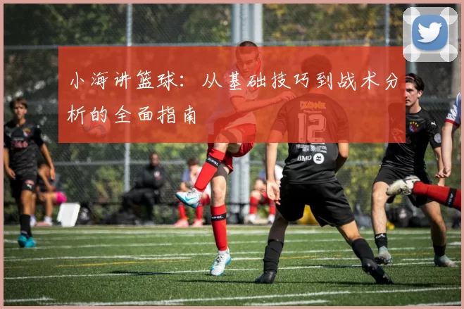 小海讲篮球：从基础技巧到战术分析的全面指南
